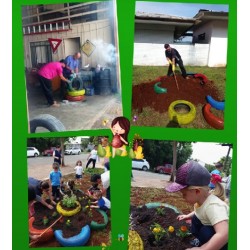 Jardim Sustentáveis são implantados em instituições de ensino de Balsa Nova